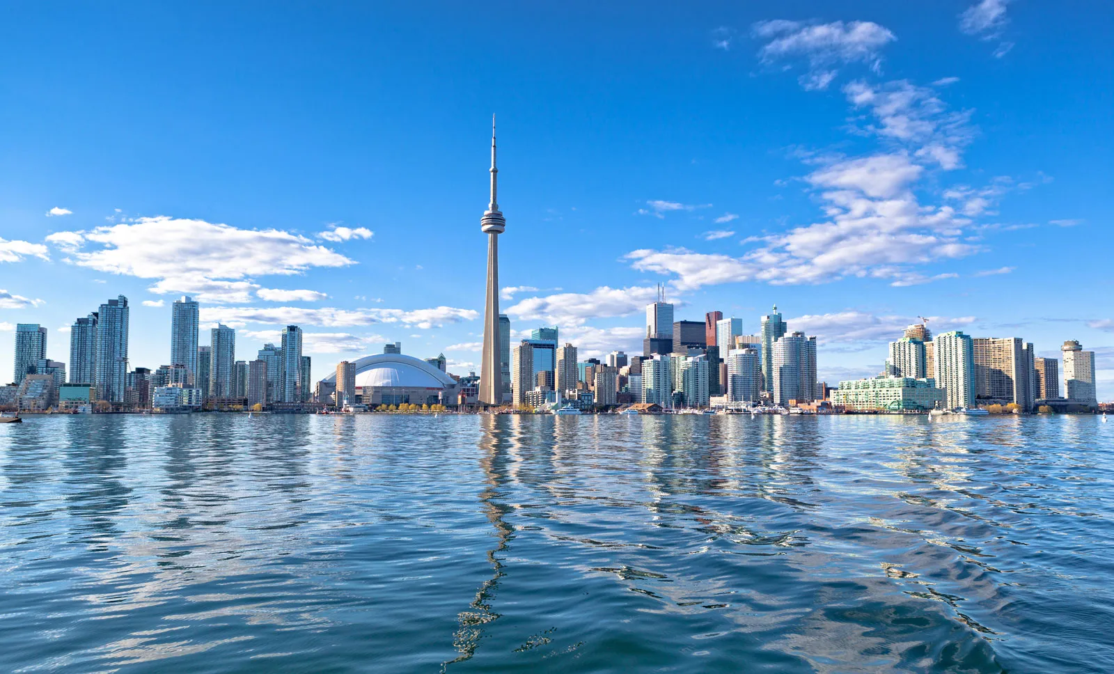 Top 9 Best Website Design Agencies in Toronto