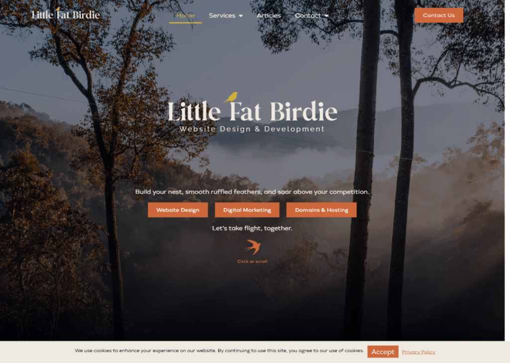 Top 9 Best Website Design Companies in Brisbane 7 Little Fat Birdie - Homepage