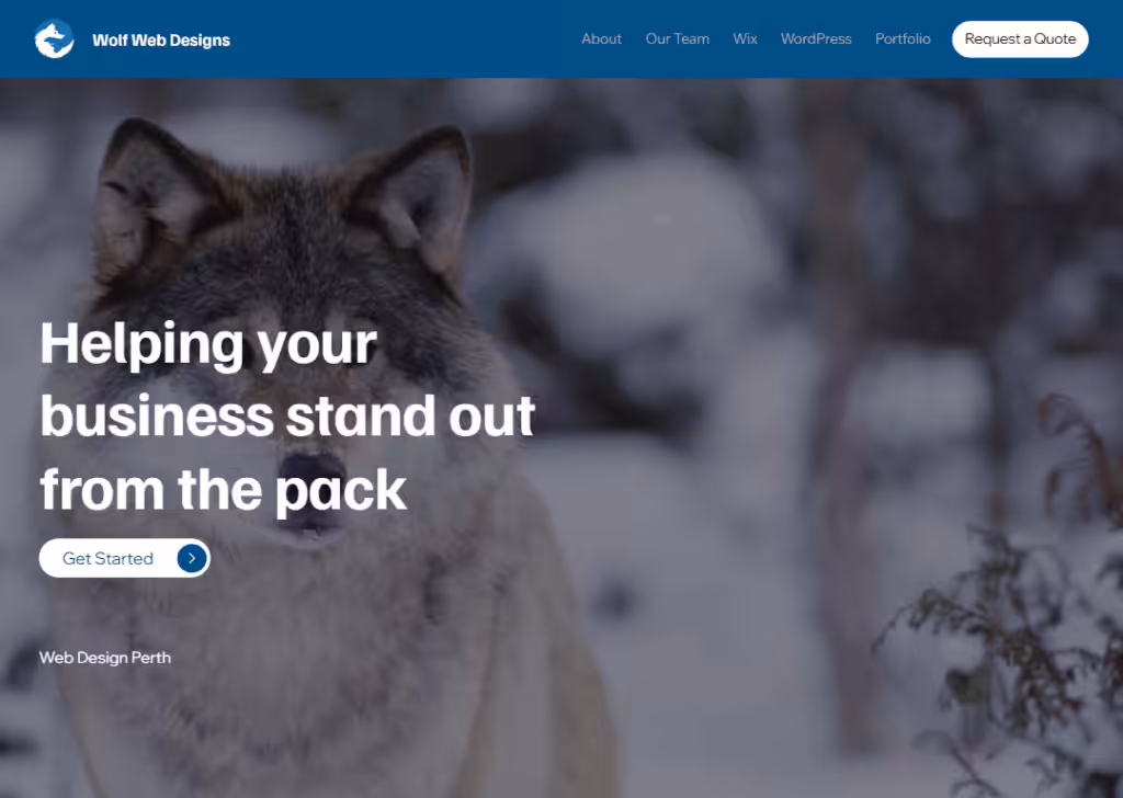 Top 10 best website design companies in Perth 7 Wolf Web Designs - Homepage