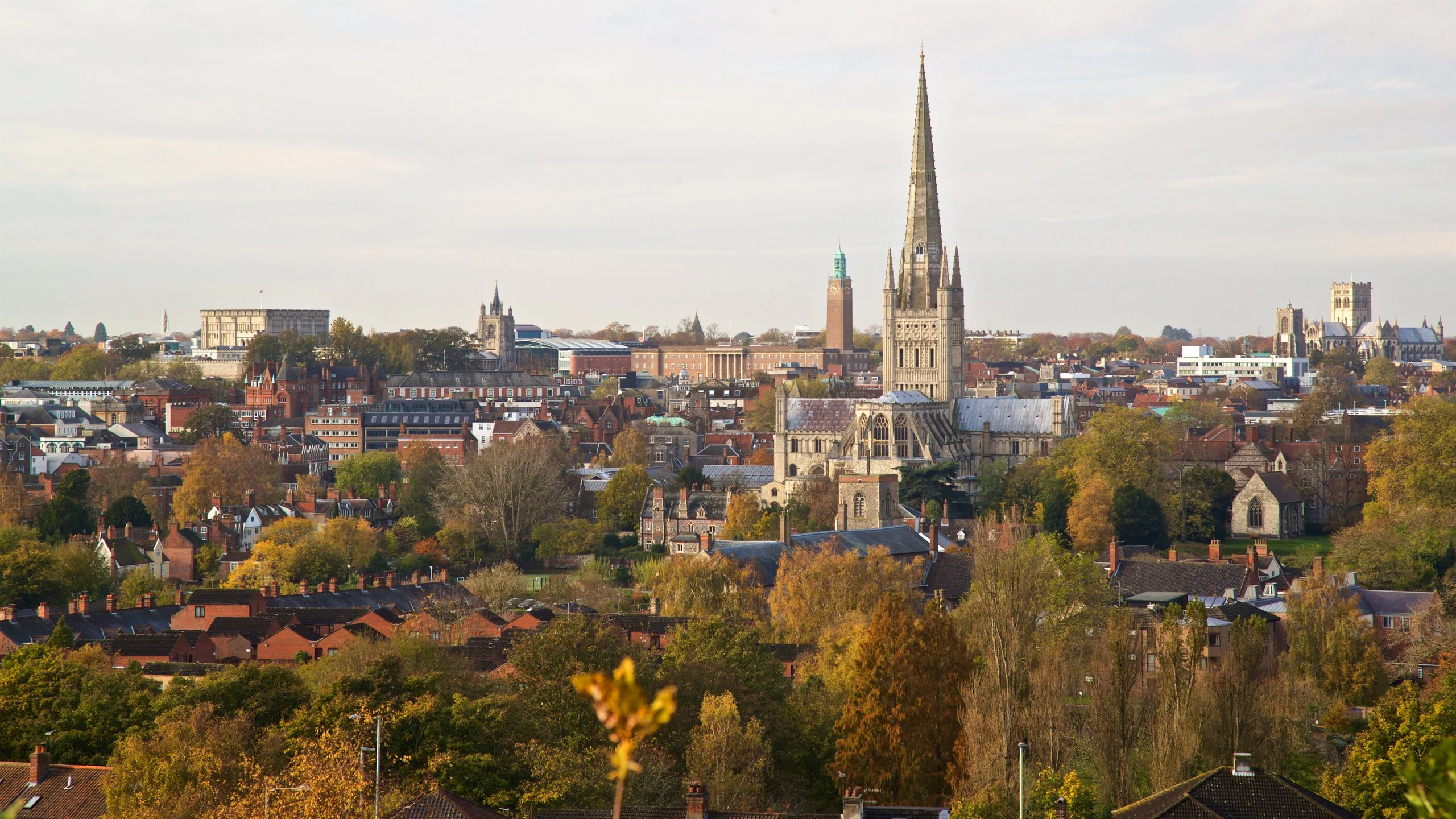 Top 9 Best Website Design Companies in Norwich