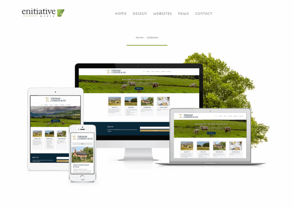 Top 9 Best Website Design Companies in Carlisle 4 Enitiative Media - Homepage