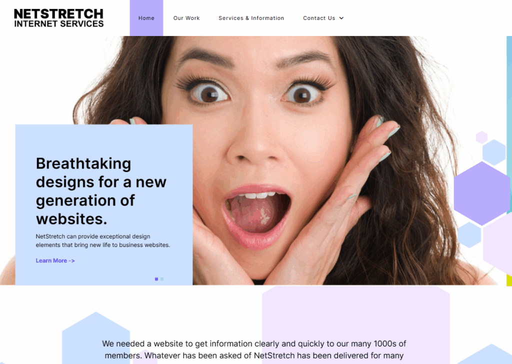 Top 9 Best Website Design Companies in Armagh 4 NetStretch - Homepage