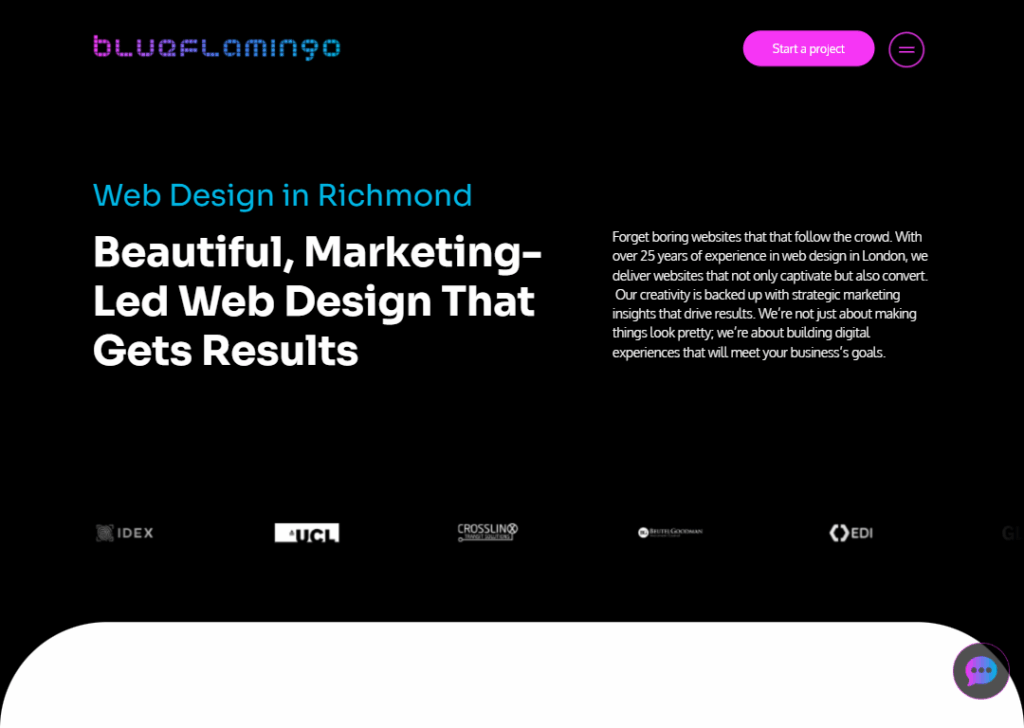 Top 9 Best Website Design Companies in Richmond 8 Blue Flamingo - Homepage