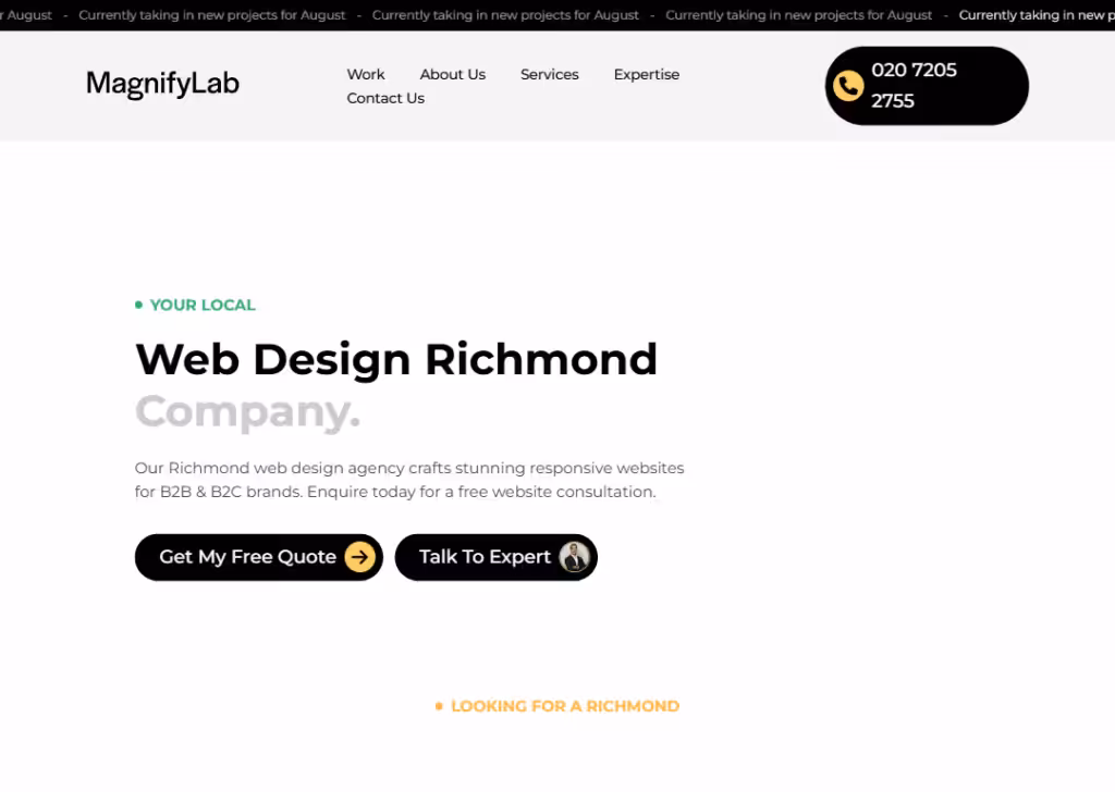 MagnifyLab - Homepage