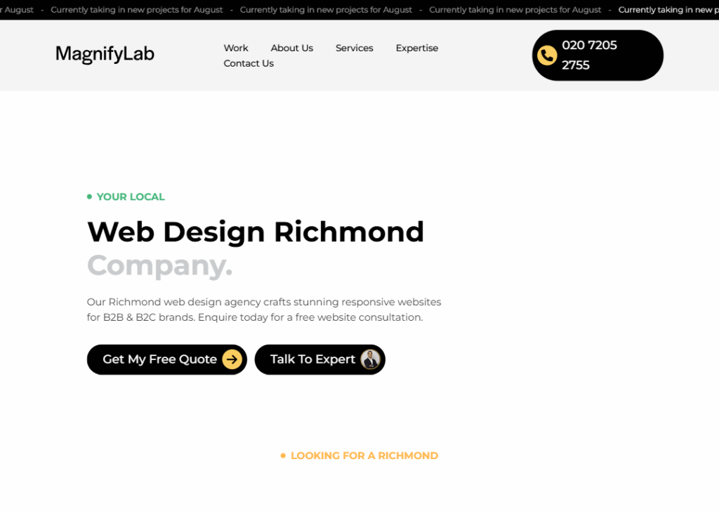 Top 9 Best Website Design Companies in Richmond 9 MagnifyLab - Homepage