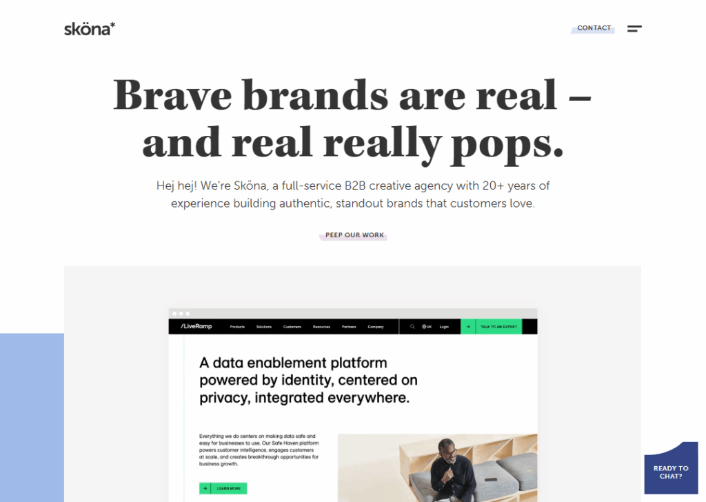 Top 9 Best B2B Website Design Agencies 6 Sköna - Homepage