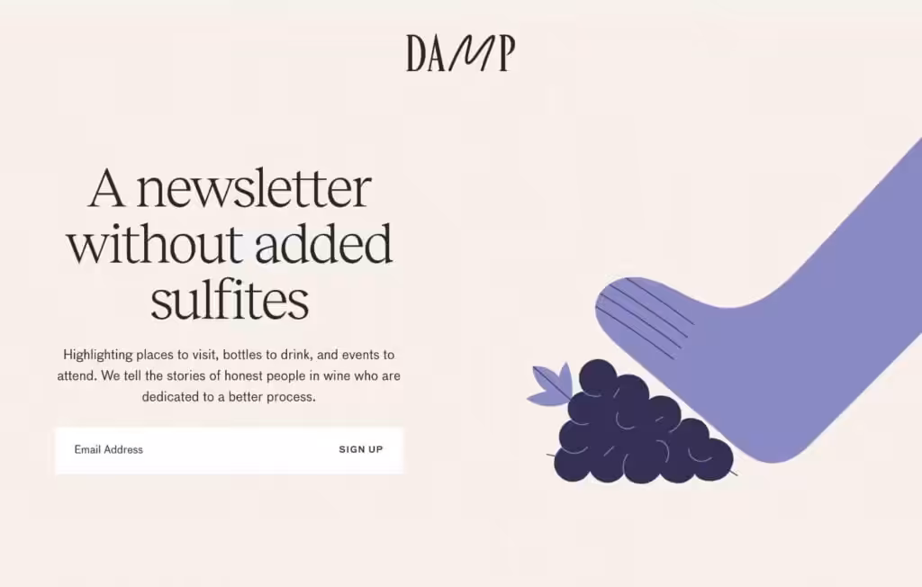 17 Newsletter landing page examples for higher signups