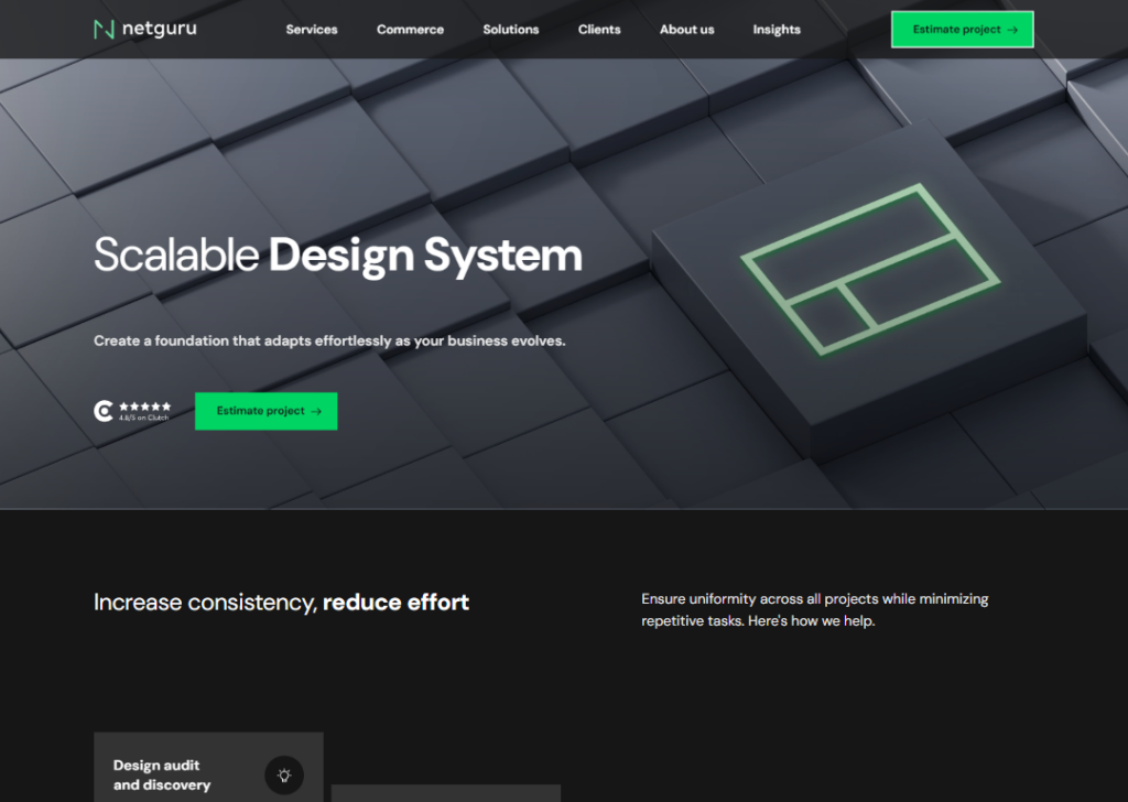 Netguru website