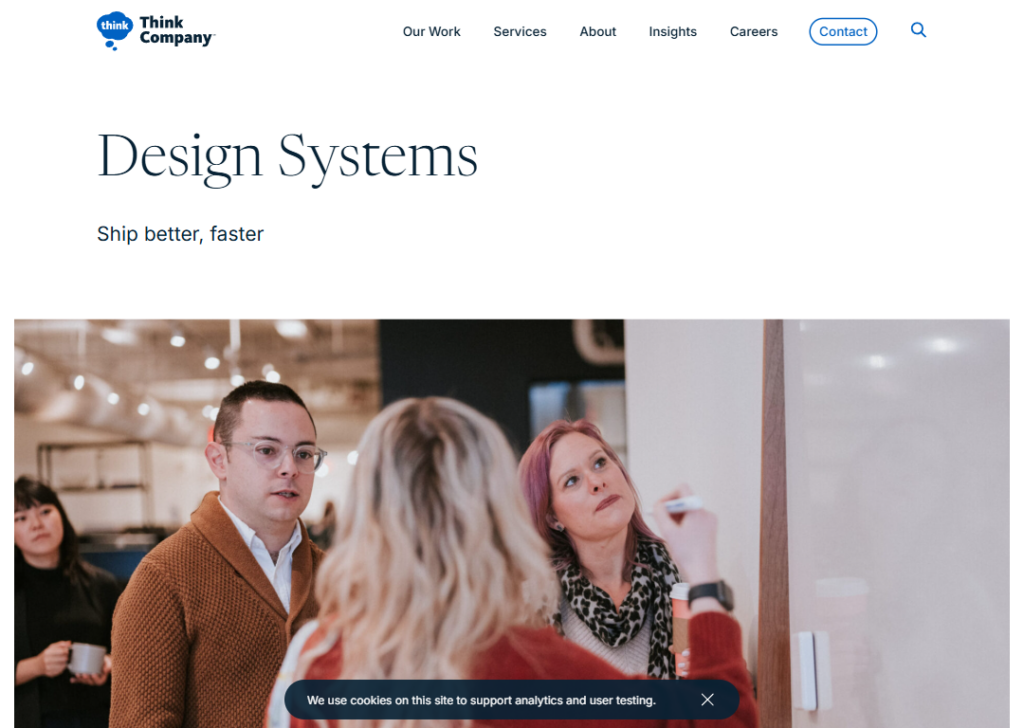 Think Company website